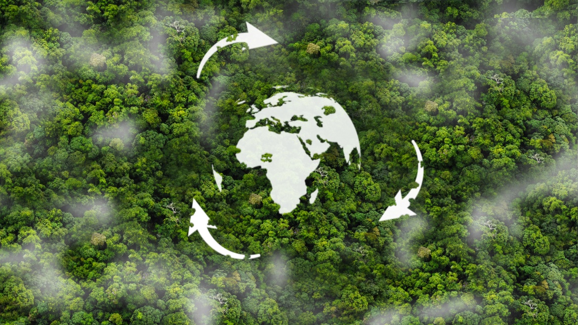 Ein wei&szlig;es, kreisf&ouml;rmiges Recyclingsymbol umschlie&szlig;t eine Weltkarte in der Mitte und liegt &uuml;ber einer dichten, gr&uuml;nen Waldfl&auml;che aus der Vogelperspektive.